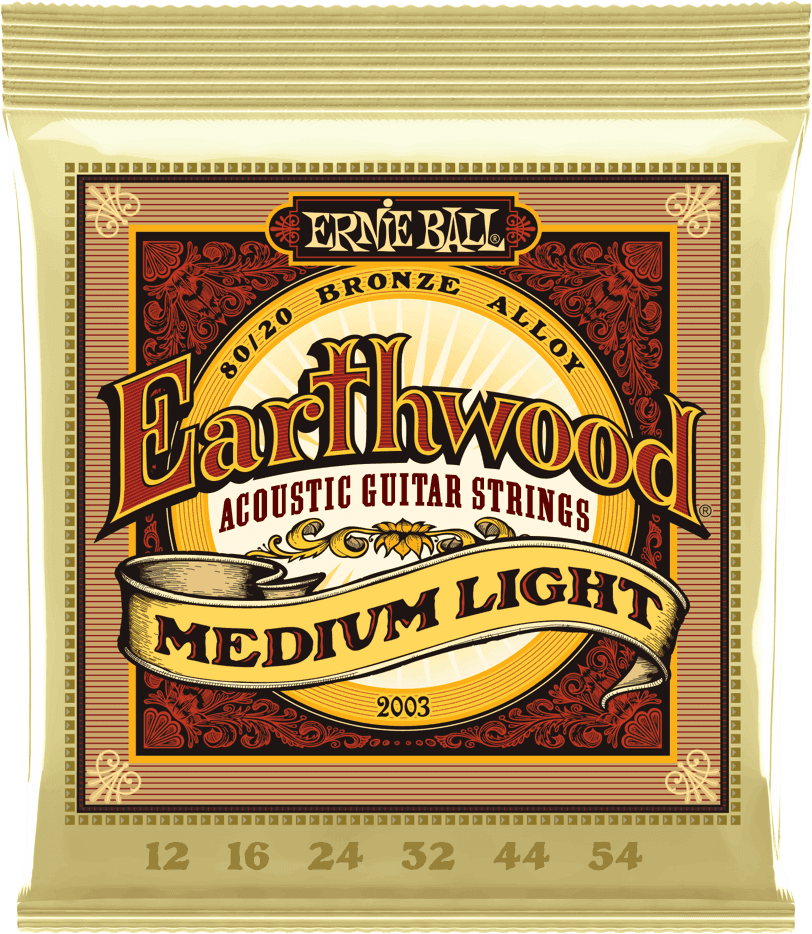 Ernie Ball Earthwood Acoustic 80/20 Medium Light 2003