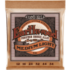 Ernie Ball Earthwood Acoustic Phosphor Bronze Medium Light 2146