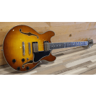 Eastman T484 Goldburst