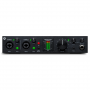 Black Lion Audio Revolution 2x2