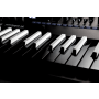 Korg Minilogue XD Inverted LTD