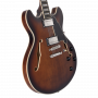 D'angelico Premier DC Brown Burst