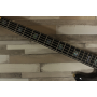 Spector Euro 5 CST - Natural Black Burst Gloss