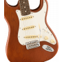 Fender American Performer Timber Stratocaster, Mocha RW