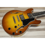 Eastman T484 Goldburst