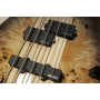 Spector Euro 5 CST - Natural Black Burst Gloss