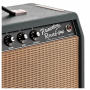 Fender LTD '65 Princeton Reverb, British Racing Green