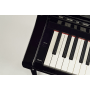 Yamaha CSP-255 PE