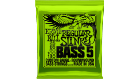 Ernie Ball Regular Slinky 2836