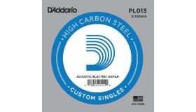 D'Addario PL013