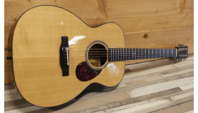 Eastman E1OM Special