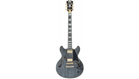 D'angelico Excel Mini DC, Black Dog