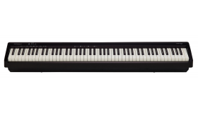 Roland FP-10 BK (B-stock)